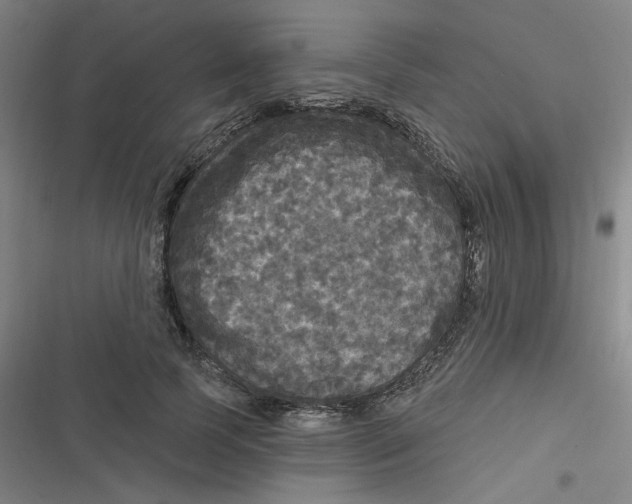 X0000116790745201001081313