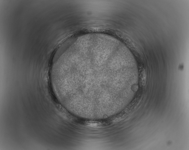 X0000116790746201001081313