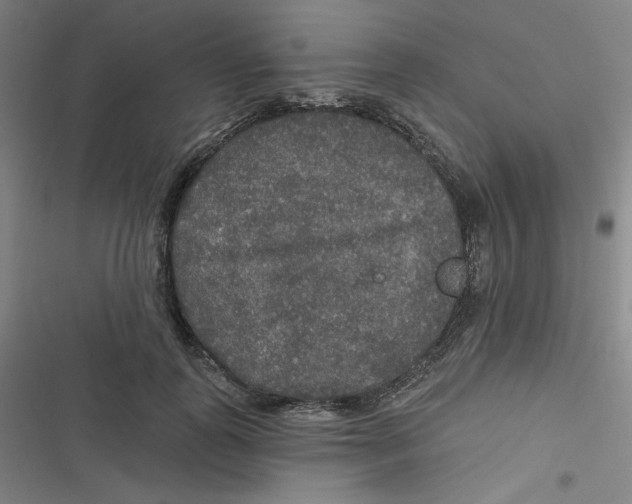 X0000116790747201001081313