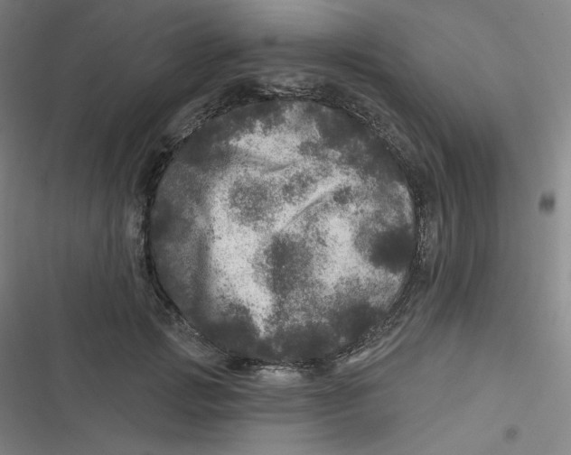 X0000116790749201001081313