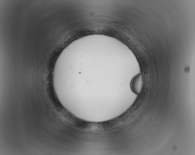 X0000116790750201001081313