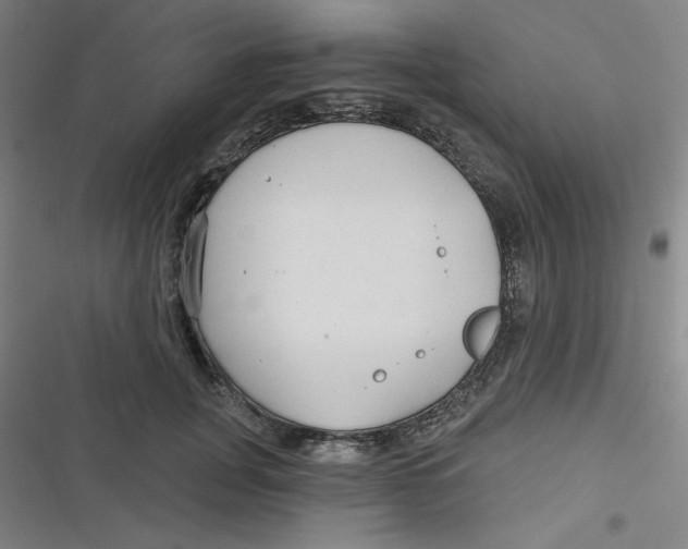 X0000116790751201001081313