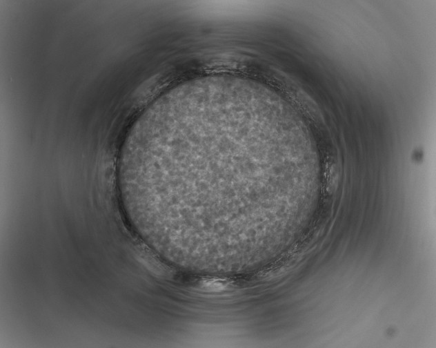 X0000116790753201001081313