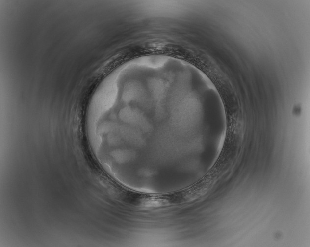 X0000116790754201001081313