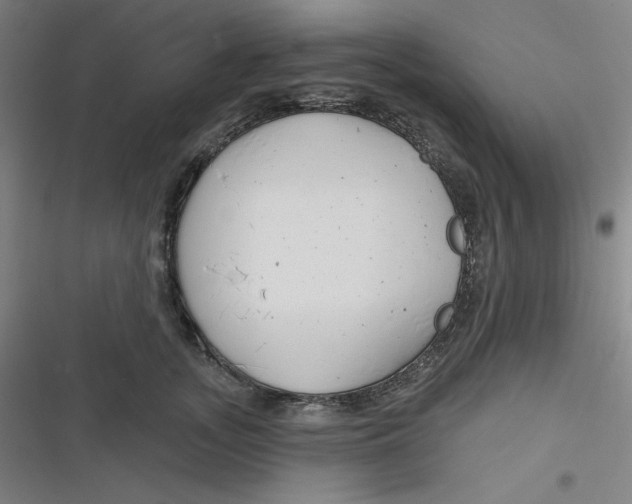 X0000116790755201001081313