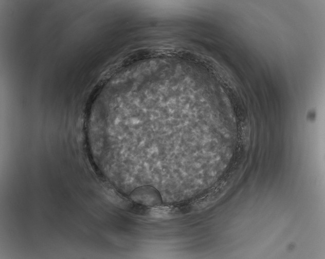 X0000116790757201001081313