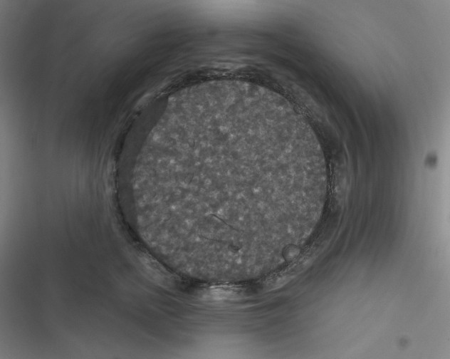 X0000116790758201001081313