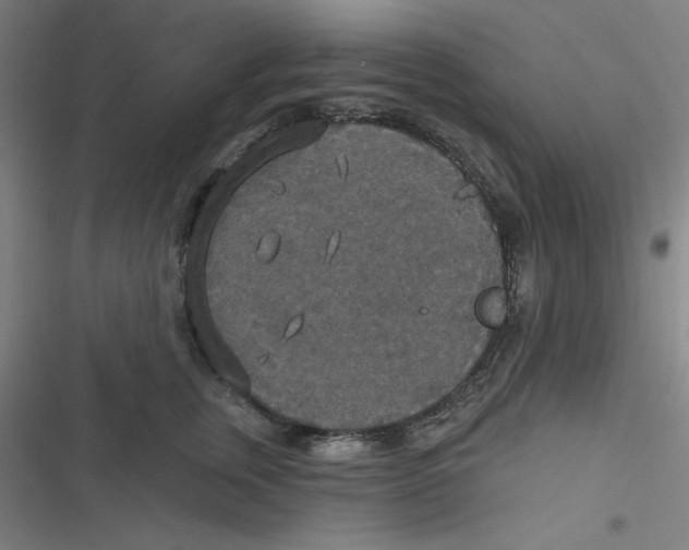 X0000116790759201001081313