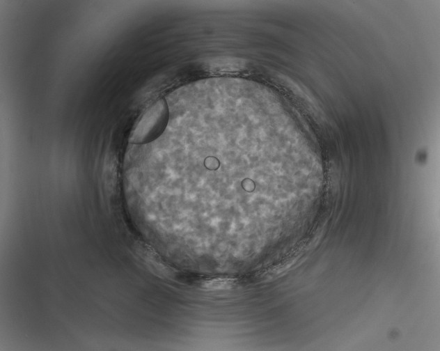 X0000116790761201001081313