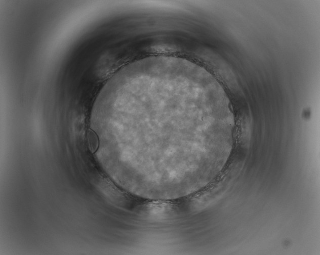 X0000116790762201001081313