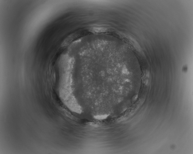 X0000116790763201001081313