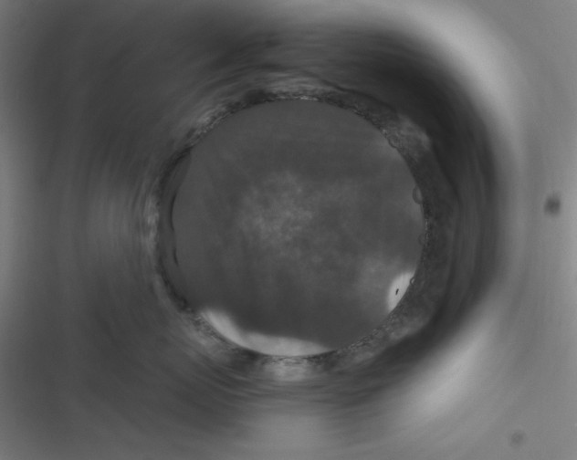 X0000116790767201001081313