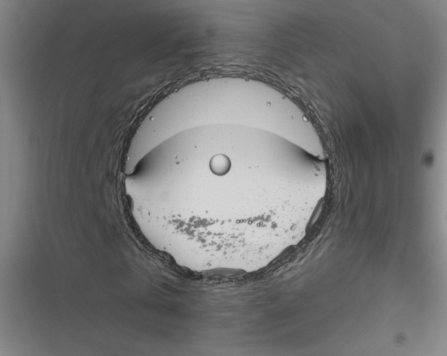 X0000116790769201001081313