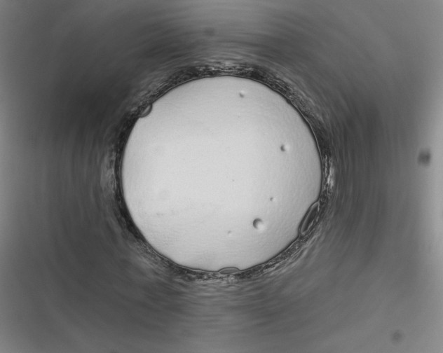 X0000116790771201001081313