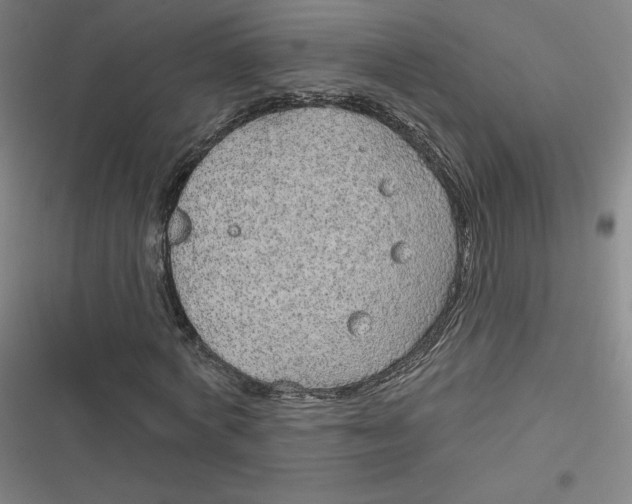 X0000116790772201001081313