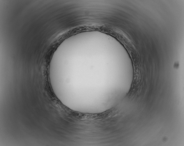 X0000116790773201001081313