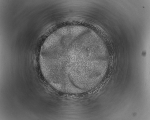 X0000116790774201001081313