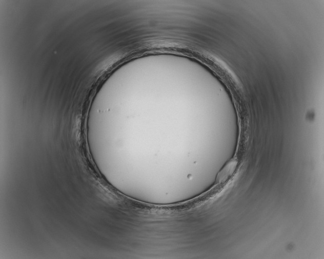 X0000116790777201001081313