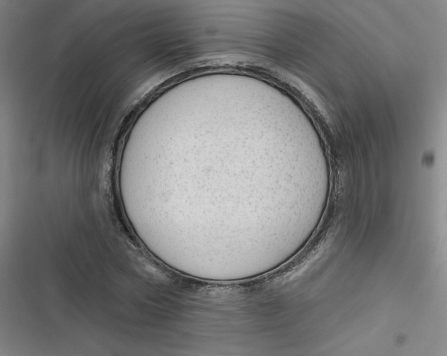 X0000116790778201001081312