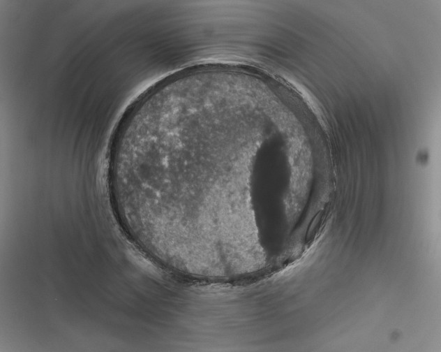 X0000116790779201001081312