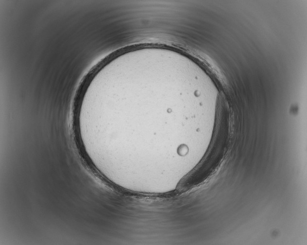 X0000116790780201001081312