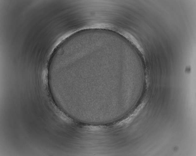 X0000116790781201001081312