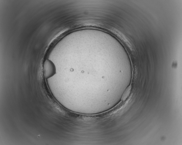 X0000116790782201001081312