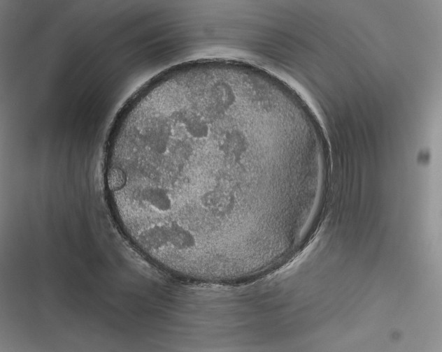 X0000116790783201001081312