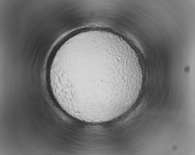 X0000116790784201001081312