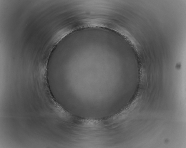 X0000116790785201001081312