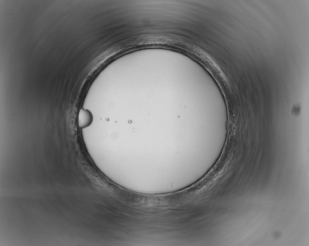 X0000116790786201001081312