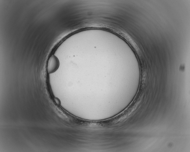 X0000116790787201001081312