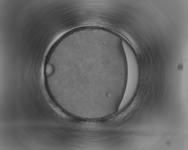 X0000116790788201001081312