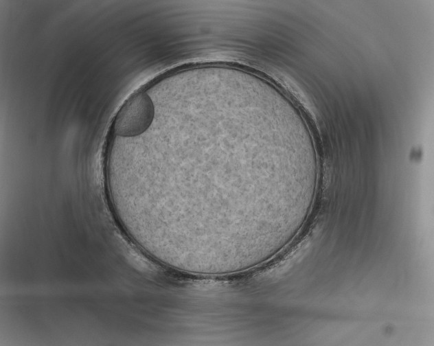 X0000116790789201001081312