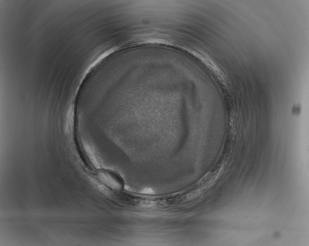 X0000116790790201001081312