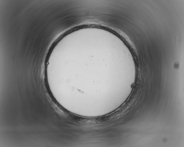 X0000116790791201001081312