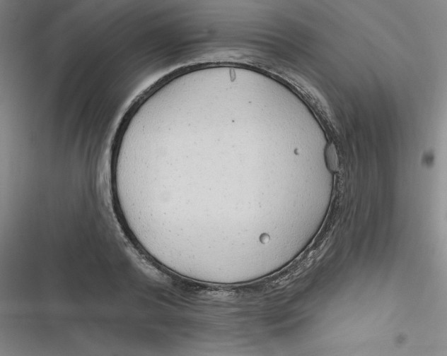 X0000116790792201001081312