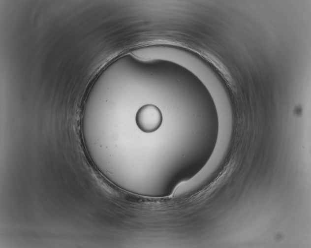 X0000116790793201001081312