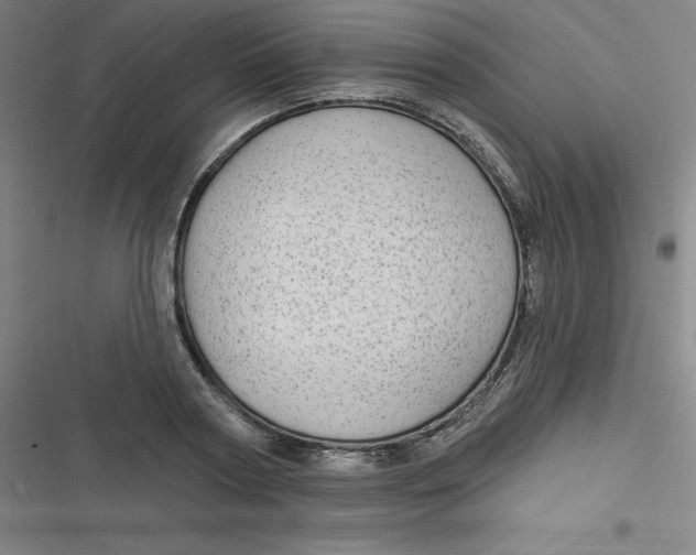 X0000116790794201001081312