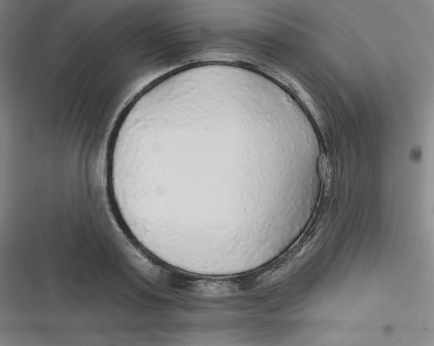 X0000116790795201001081312