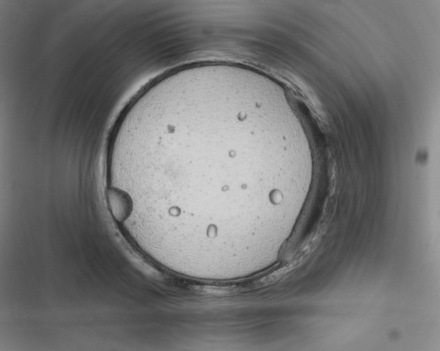 X0000116790796201001081312