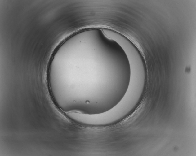 X0000116790797201001081312