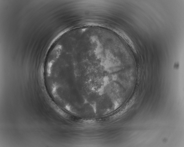 X0000116790798201001081312