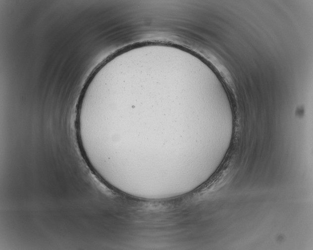 X0000116790799201001081312