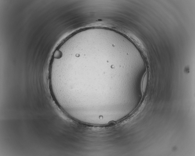 X0000116790800201001081312