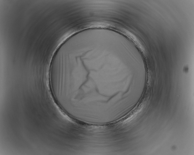 X0000116790802201001081312