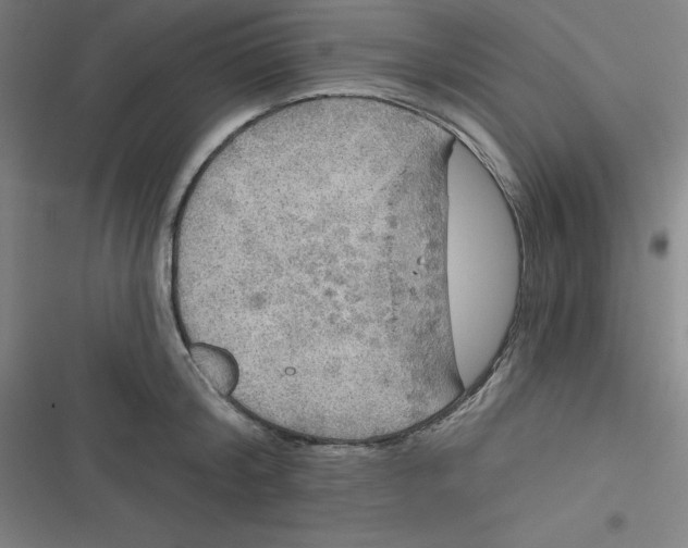 X0000116790804201001081312