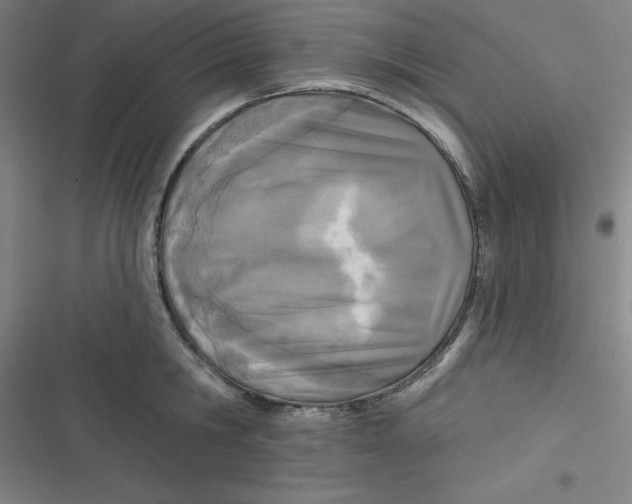 X0000116790806201001081312