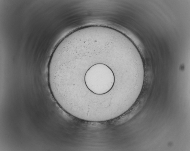 X0000116790807201001081312