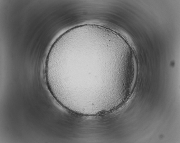 X0000116790808201001081312